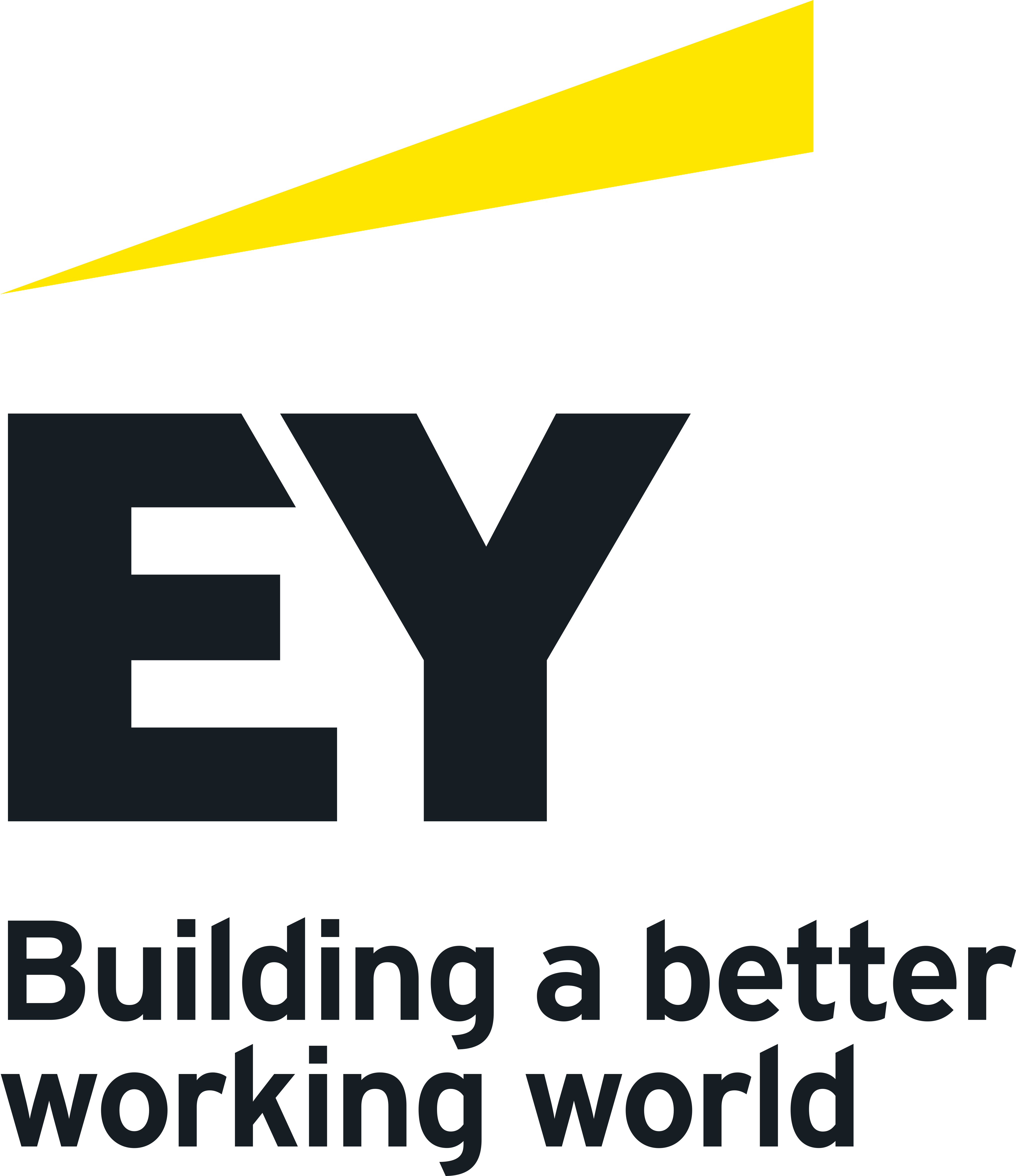 ernst-young_Bigdtalogin